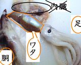 ❤❤❤いかの解体ショー♡...by food town❤❤❤作り方5写真