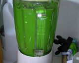 ほうれん草のグリーンカレー作り方1写真