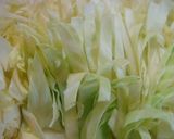 【マジョラム香る】春キャベツのたまごとじ作り方1写真