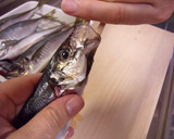 必見！！【割り箸】で魚の内臓を取る方法♥作り方7写真