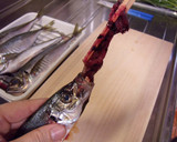 必見！！【割り箸】で魚の内臓を取る方法♥作り方11写真