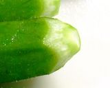 オクラのにんにく炒め作り方9写真
