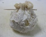 裏返して入れるだけ！油揚げdeコロッケ？作り方5写真