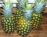 パイナップルジャム作り方1写真