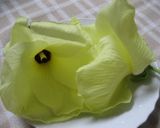 花オクラのきれいな冷奴作り方5写真