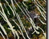 げそ押焼き作り方20写真