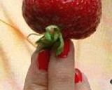 Strawberry Margarita作り方1写真