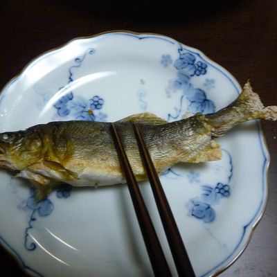 あゆの塩焼きさま確認ページ♡ 訳あり あゆの塩焼き 15尾 あゆ 鮎 アユ 鮎の塩焼き アユの