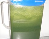 定番野菜のジュース【…補助に】作り方4写真