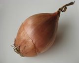 ホンビノスガイのプロバンス風作り方1写真