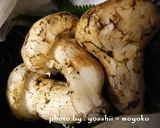デリシャス 松茸(まつたけ)ご飯!作り方1写真
