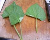 すいおうの茎のきんぴら作り方1写真
