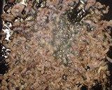 挽肉とパン粉の甘辛炒め　フライ風作り方2写真