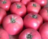 自家製トマトソースのペンネ作り方1写真