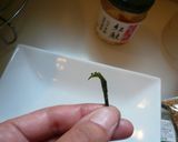 青虫とチョウチョが出会ったら（キャラ弁）作り方4写真