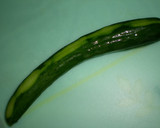 １分完了あとは待つだけ！きゅうりの浅漬け作り方1写真