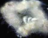 大分名物☆とり天作り方6写真