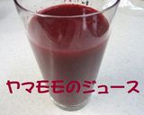 ヤマモモの二層のババロア作り方3写真
