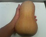 バターナッツかぼちゃのペースト作り方1写真