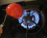 ●30秒でトマトの皮むき●作り方1写真