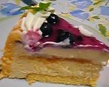 ブルーベリーチーズケーキ作り方20写真