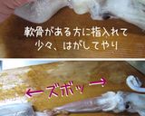 【烏賊の処理・下ごしらえ】作り方3写真