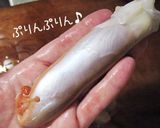【烏賊の処理・下ごしらえ】作り方7写真