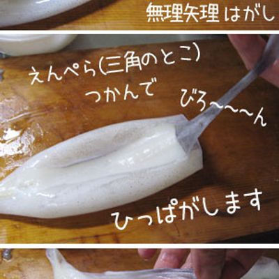 烏賊の処理・下ごしらえ】 by pegupepepe 【クックパッド】 簡単