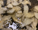 塩不使用　ポテトチップス作り方3写真