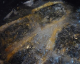 皮が美味しい♪さんまのかば焼き！作り方4写真