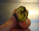 なすの薔薇　白薔薇も！[簡単][お弁当]作り方6写真