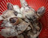 烏賊と大根のオイマヨ和え♪作り方2写真