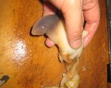 海鮮！北寄貝の刺身作り方5写真