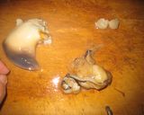 海鮮！北寄貝の刺身作り方6写真