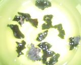 カレー春雨作り方2写真