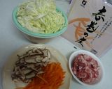 我が家の定番♪野菜たっぷり春巻き作り方1写真