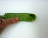めちゃ簡単♪ビールのあてにあじのたたき作り方2写真