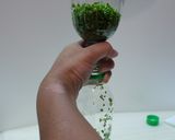 知ってた？小ねぎの保存方ｂｙオカン作り方6写真