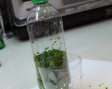 知ってた？小ねぎの保存方ｂｙオカン作り方7写真