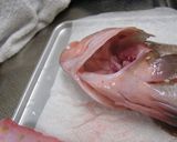 あこう（キジハタ）の酒蒸し作り方2写真
