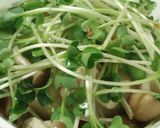 ☆豆腐とカイワレ大根のサラダ☆作り方3写真