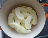 春巻きの皮で簡単ホットアップルパイ作り方1写真