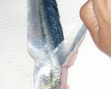 簡単　さんまの刺身　捌き方作り方7写真