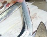 簡単　さんまの刺身　捌き方作り方5写真
