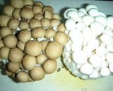 鶏もも肉ときのこの甘辛炒め煮作り方3写真