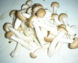 鶏肉とキノコの月見蕎麦（うどん）作り方3写真
