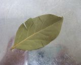 ポークＶｅｇｅビーンズ♪作り方4写真