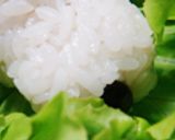 スヌーピー＆ウッドストック弁当✿キャラ弁作り方2写真