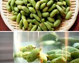 【猫も喜ぶまたたび酒♪(=´∇`=) 】作り方2写真