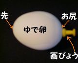 半熟味玉✿しょうゆ味/塩味～【プロの技】☝永久保存版作り方2写真